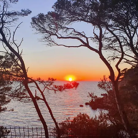 Les Pieds Dans L'eau Dans Front De Avec Piscines, Tennis, Privee Bandol