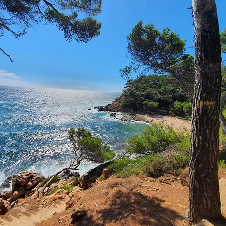 Les Pieds Dans L'eau Dans Front De Avec Piscines, Tennis, Privee Bandol
