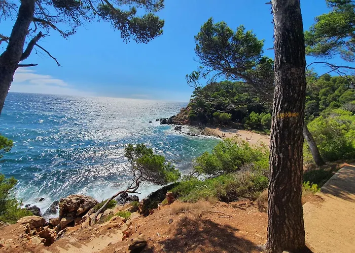 Les Pieds Dans L'eau Dans Front De Avec Piscines, Tennis, Privee Bandol
