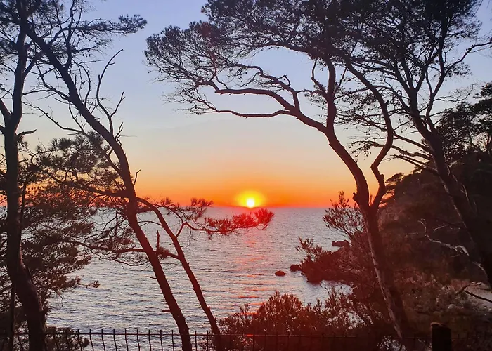 Les Pieds Dans L'eau Dans Front De Avec Piscines, Tennis, Privee Bandol